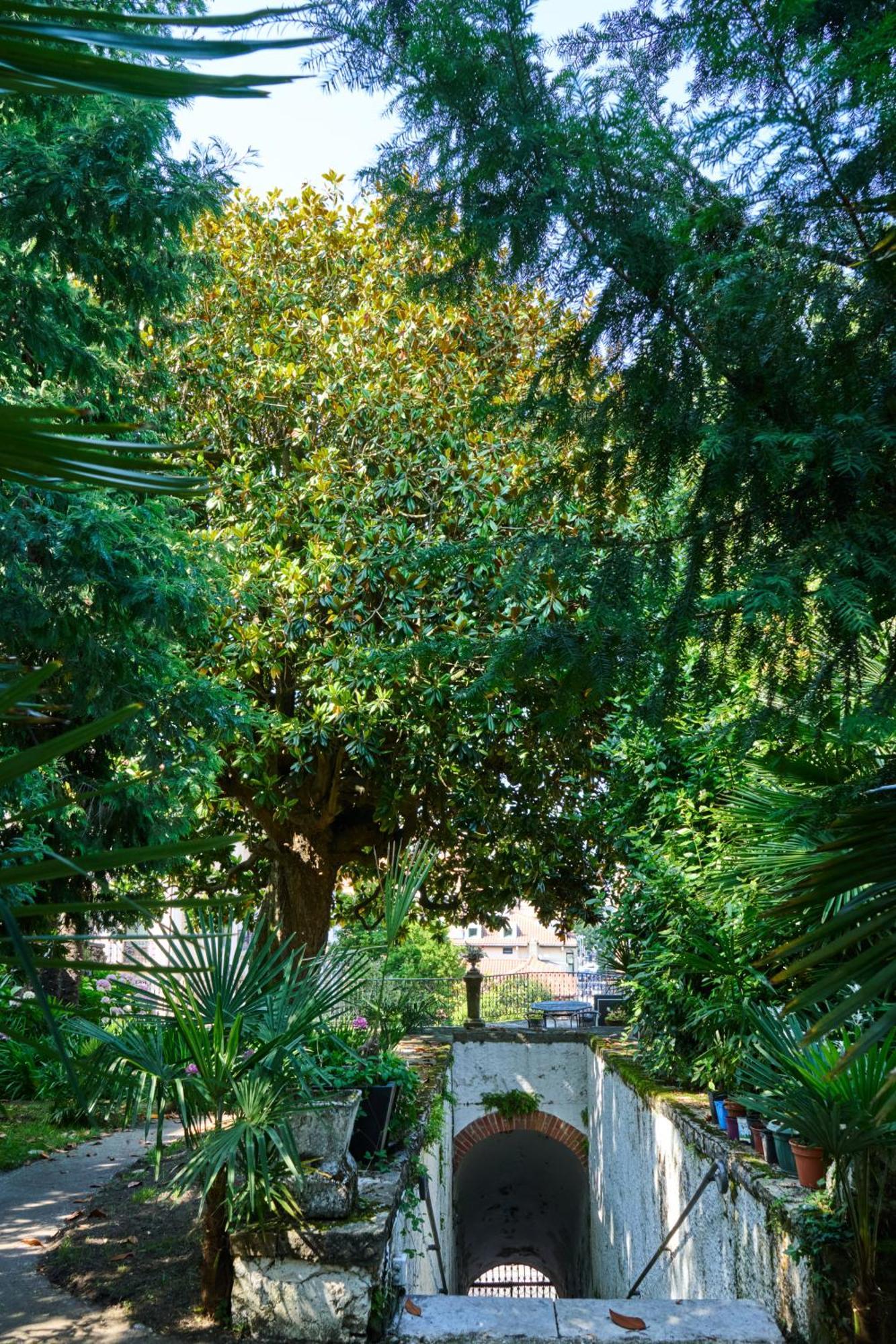 Habitacion Oasis Irun Bagian luar foto